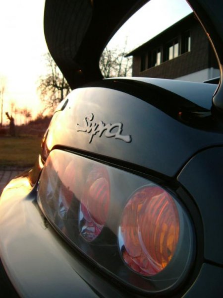 badge taillight sunset