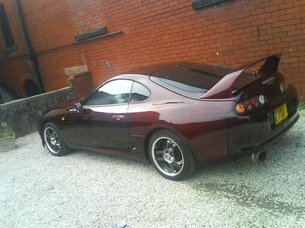 Animal Supra 017