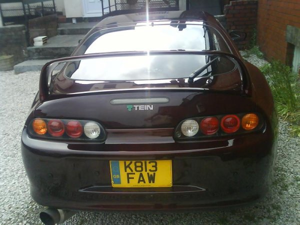 Animal Supra 018