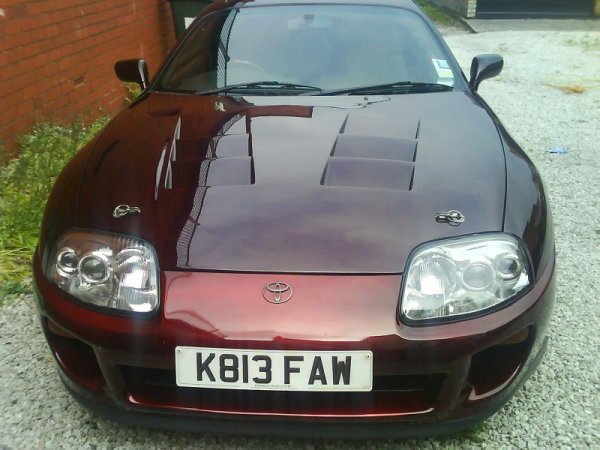 Animal Supra 019
