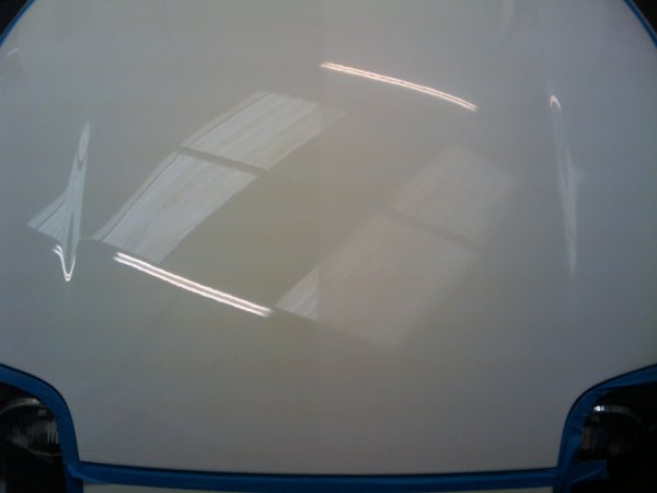 50/50 shot on bonnet after detailing session