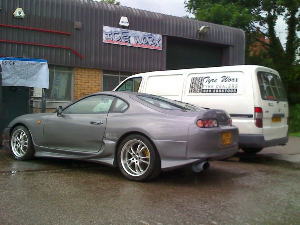 rear in grey
