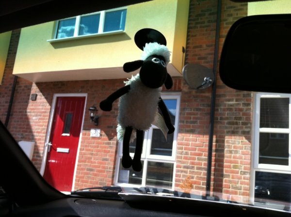 Shawn The Sheep