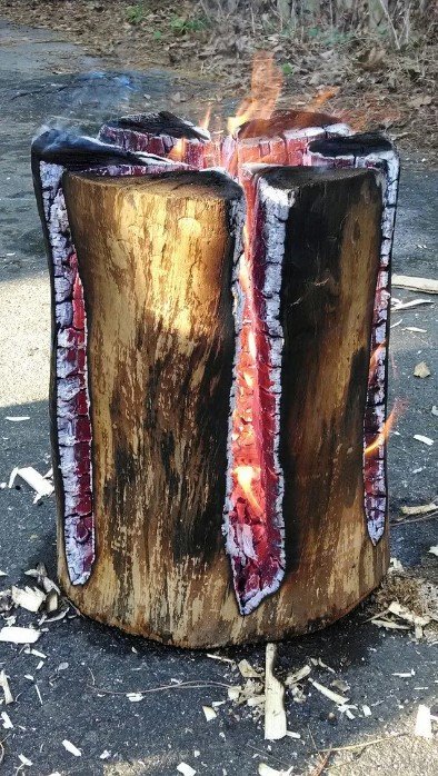 burning log.jpg